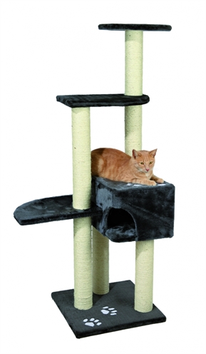 TRIXIE KRABPAAL ALICANTE ANTRACIET