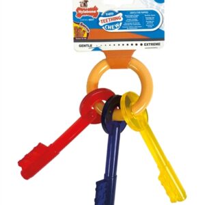 NYLABONE PUPPY CHEW BIJTSLEUTELS BACONSMAAK