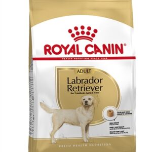 ROYAL CANIN LABRADOR RETRIEVER ADULT