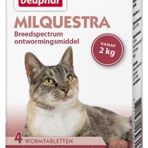 BEAPHAR MILQUESTRA KAT
