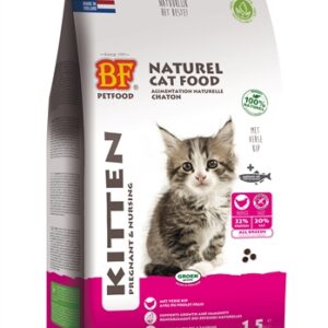 BF PETFOOD PREMIUM QUALITY KAT KITTEN PREGNANT / NURSING