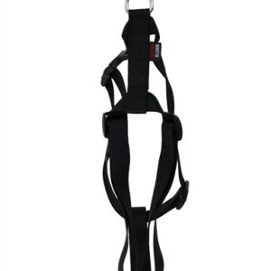 MARTIN HONDENTUIG BASIC NYLON ZWART