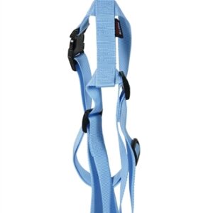 MARTIN HONDENTUIG BASIC NYLON BLAUW