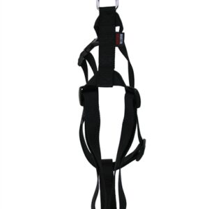 MARTIN HONDENTUIG BASIC NYLON ZWART