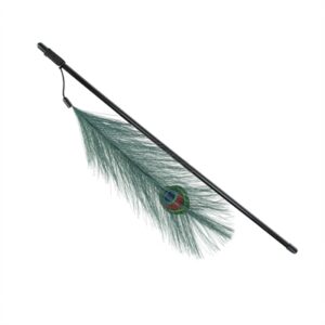 TRIXIE KATTENHENGEL MET PAUWENVEER