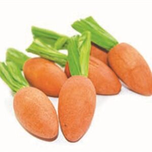 HAPPY PET CARROT NIBBLERS KNAAGHOUT