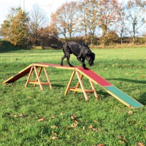 TRIXIE DOG ACTIVITY AGILITY HONDENLOOP