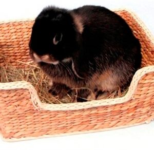 ROSEWOOD CHILL 'N' SNOOZE KNAAGDIERBED