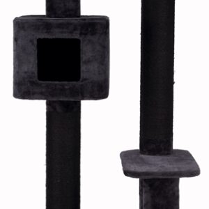 TRIXIE KRABPAAL IZAN ANTRACIET