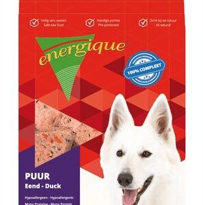 ENERGIQUE PUUR EEND