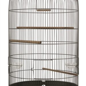 ZOLUX VOGELKOOI RETRO MARTHE