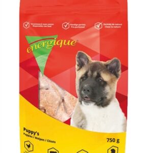 ENERGIQUE NR 2 PUPPY