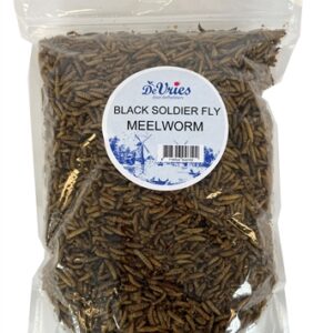 DE VRIES MEELWORM BLACK SOLDIER FLY