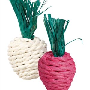 TRIXIE RADIJS EN RETTICH MET STRO