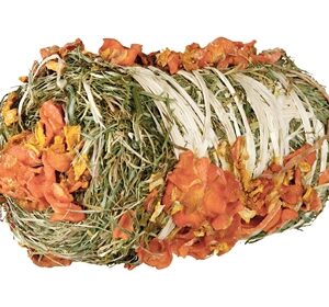 TRIXIE HOOIBAAL MET POMPOEN EN WORTEL