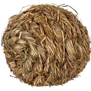 TRIXIE GRASBAL MET BEL