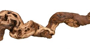 TRIXIE DRUIVENTAKKEN