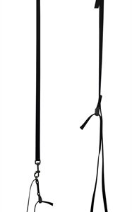 TOOLS-2-GROOM GALG EN BUIKBAND SET