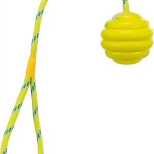 TRIXIE RINGENBAL MET TOUW