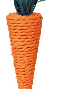 TRIXIE SPEELGOED WORTEL