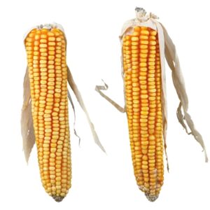 TRIXIE MAISKOLVEN MET BLAD