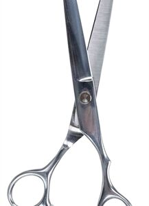 TRIXIE VACHTSCHAAR PROFESSIONEEL