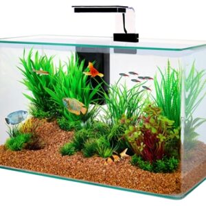 ZOLUX AQUARIUM CLEAR KIT ZWART