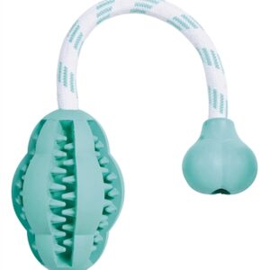 TRIXIE DENTA FUN JUMPER AAN TOUW MINTFRESH NATUURRUBBER