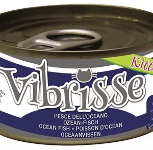 VIBRISSE KITTENS CAT OCEAANVIS