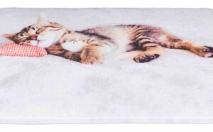 TRIXIE LIGMAT KAT NANI GRIJS