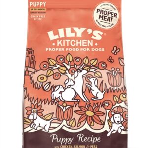 LILY'S KITCHEN DOG PUPPY CHICKEN / SALMON