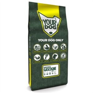 YOURDOG GRAND BLEU DE GASCOGNE SENIOR