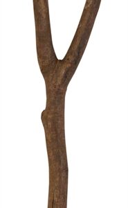 TRIXIE ZITSTOK Y-VORM SCHORSHOUT