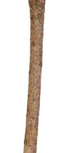 TRIXIE ZITSTOK Y-VORM SCHORSHOUT