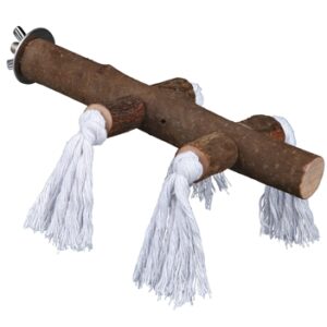 TRIXIE ZITSTOK SCHORSHOUT