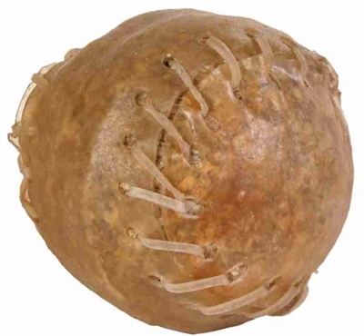 TRIXIE KAUWBAL GENAAID