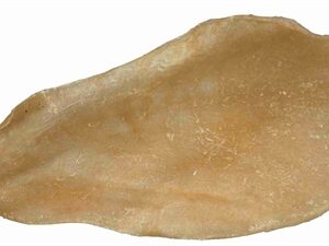 TRIXIE RUNDEROOR GEDROOGD