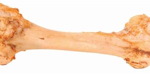 TRIXIE JUMBO-KAUWBOT 38 CM