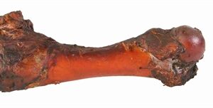 TRIXIE VARKENSBOT 20 CM 280 G