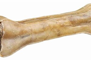 TRIXIE KAUWBOT BULLENPEESVULLING 21 CM 170 G