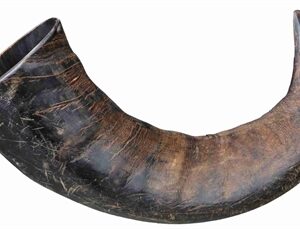 TRIXIE NATUUR-KAUWHOORN VAN DE BUFFEL GROOT