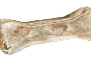 TRIXIE KAUWBOT LAMVULLING 10 CM 2 × 40 G / ST.