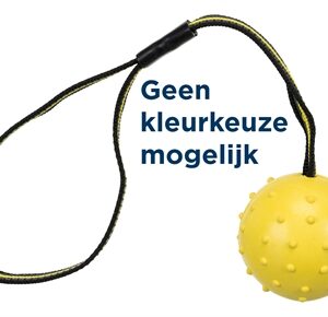 TRIXIE NATUURRUBBER BAL AAN RUBBEREN SINGELBAND ASSORTI