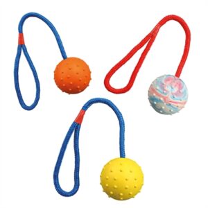 TRIXIE NATUURRUBBER BAL AAN KOORD ASSORTI