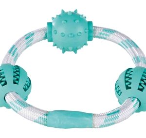TRIXIE DENTA FUN KOORDRING MET NATUURRUBBER BALLEN MET MUNTSMAAK