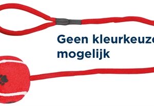 TRIXIE TENNISBAL AAN KOORD ASSORTI