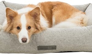 TRIXIE VITAL HONDENMAND NOAH HOEKIG LICHTGRIJS