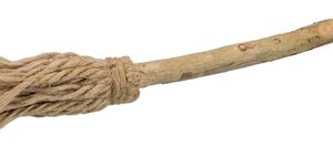 TRIXIE MATATABI BEZEM