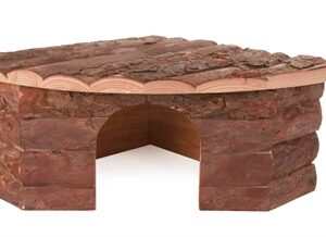 TRIXIE HOEKHUIS JESPER KONIJN SCHORSHOUT