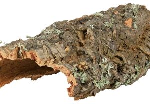 TRIXIE REPTILAND KURKPLAAT